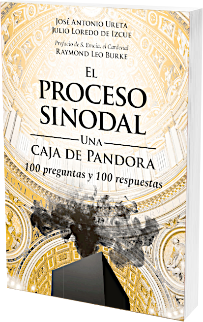 El proceso sinodal: Una caja de Pandora